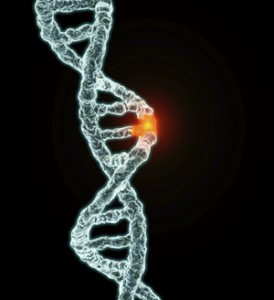 scoliosis and genetics