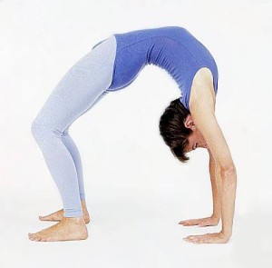 scoliosis yoga_Wheel _Chakrasana_Urdhva Dhanurasana