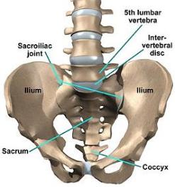 hip pain scoliosis