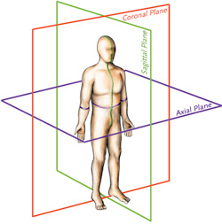 scoliosis surgery adults