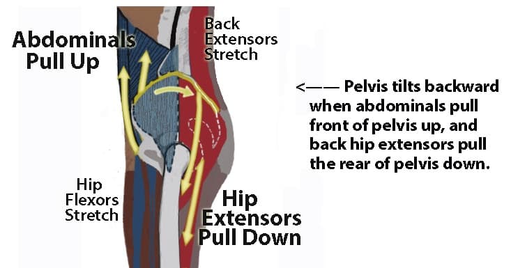 lumbar lordosis treatment back extensors hip